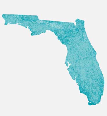 Graphic of State of Florida.