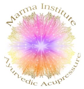 Marmic Institute logo.