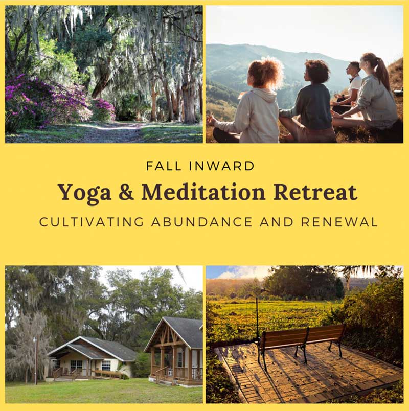 Photo of Florida Fall Yoga and Meditation Retreat.
